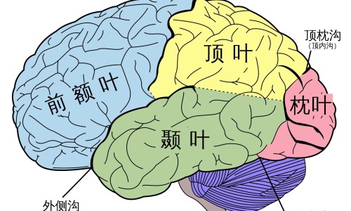 防止老人走失的方法-患者走失预防和处理流程、防止老人走失的方法 -如何防止病人走失网